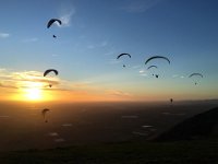 Norma Februar 2016   183